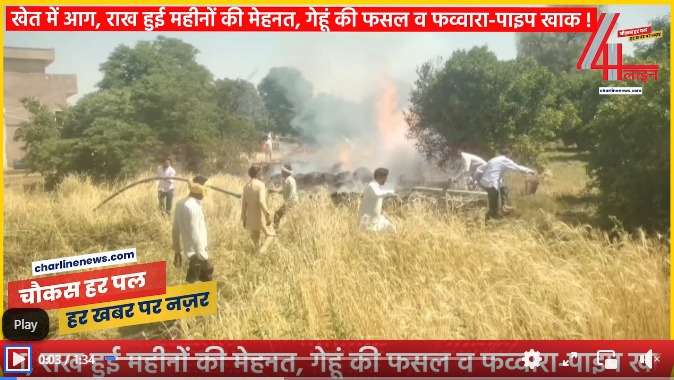 WhatsApp Image 2025-04-02 at 8.50.17 PM