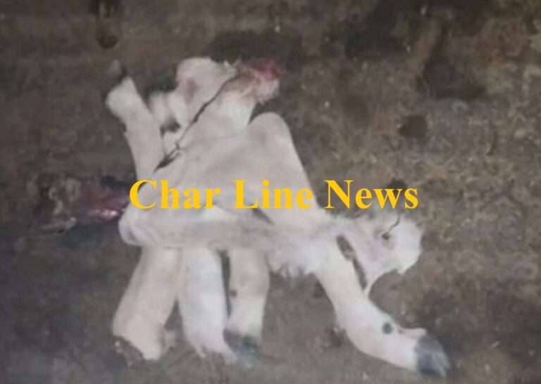WhatsApp Image 2025-06-06 at 4.59.43 PM