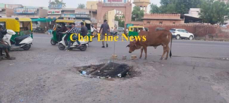 WhatsApp Image 2025-06-27 at 7.31.36 PM