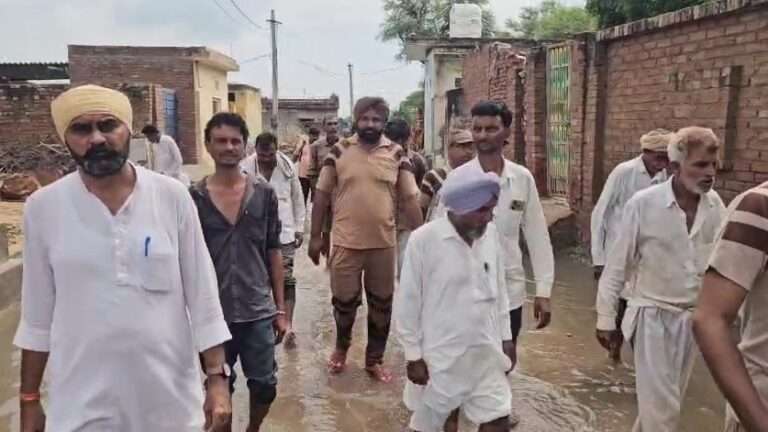 WhatsApp Image 2025-09-02 at 8.14.03 PM