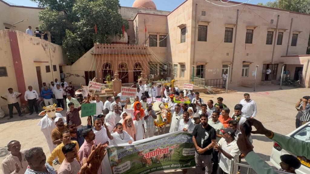 WhatsApp Image 2025-09-25 at 5.34.59 PM