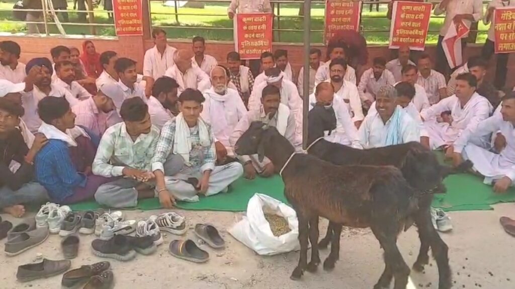 WhatsApp Image 2025-10-16 at 6.36.21 PM