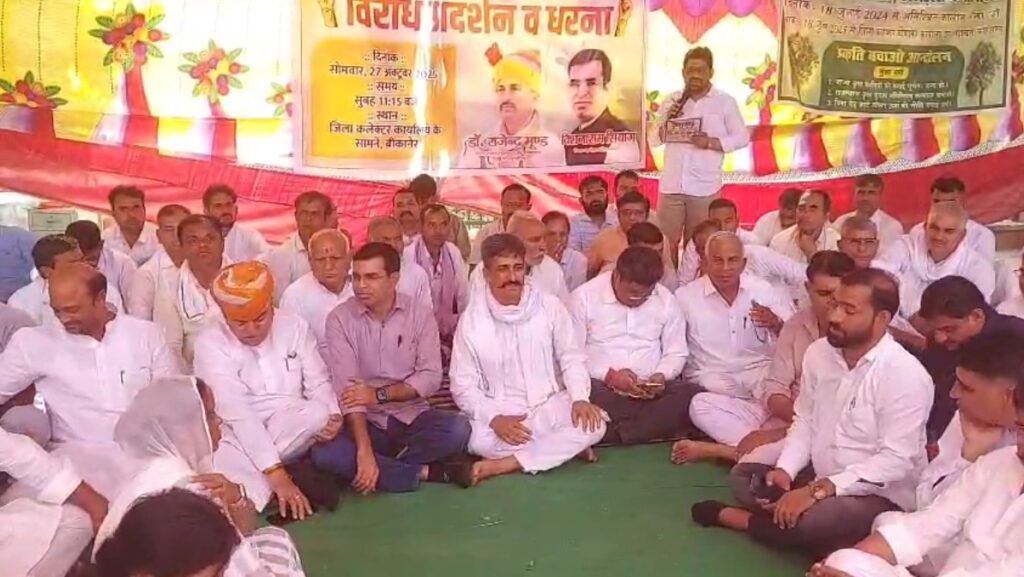 WhatsApp Image 2025-10-27 at 2.01.04 PM