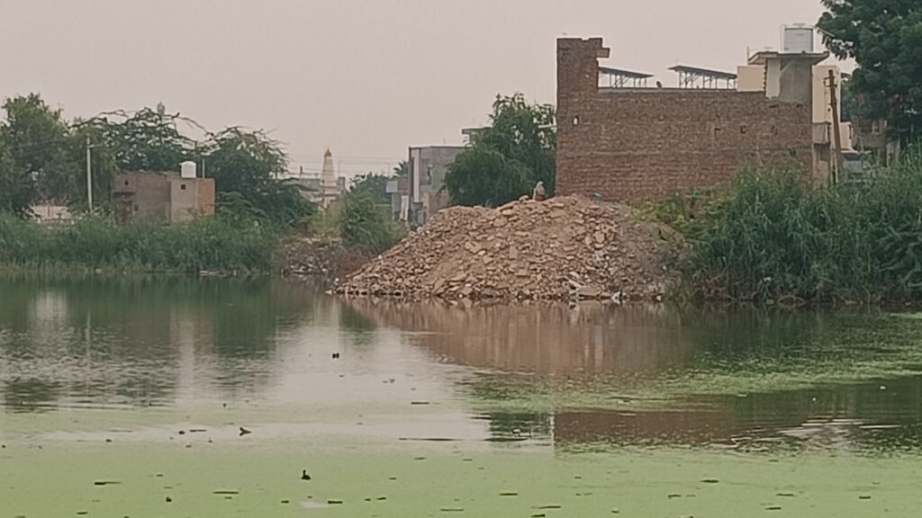 WhatsApp Image 2025-10-28 at 12.05.28 PM