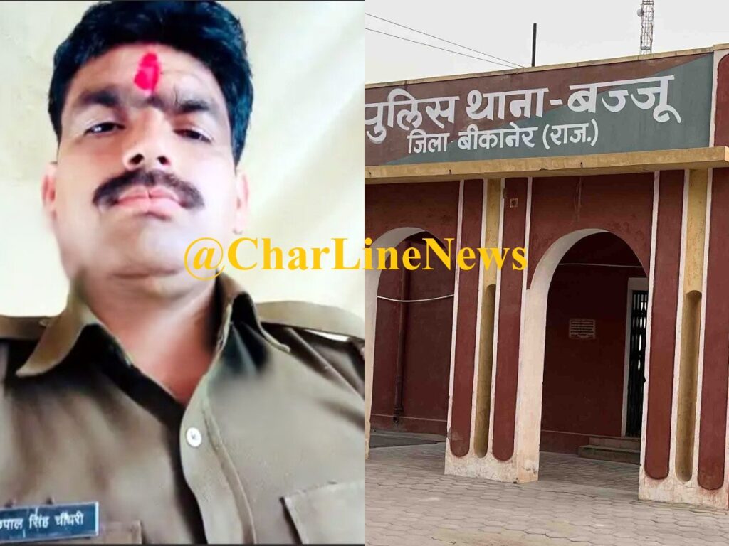 collageपुप (1)