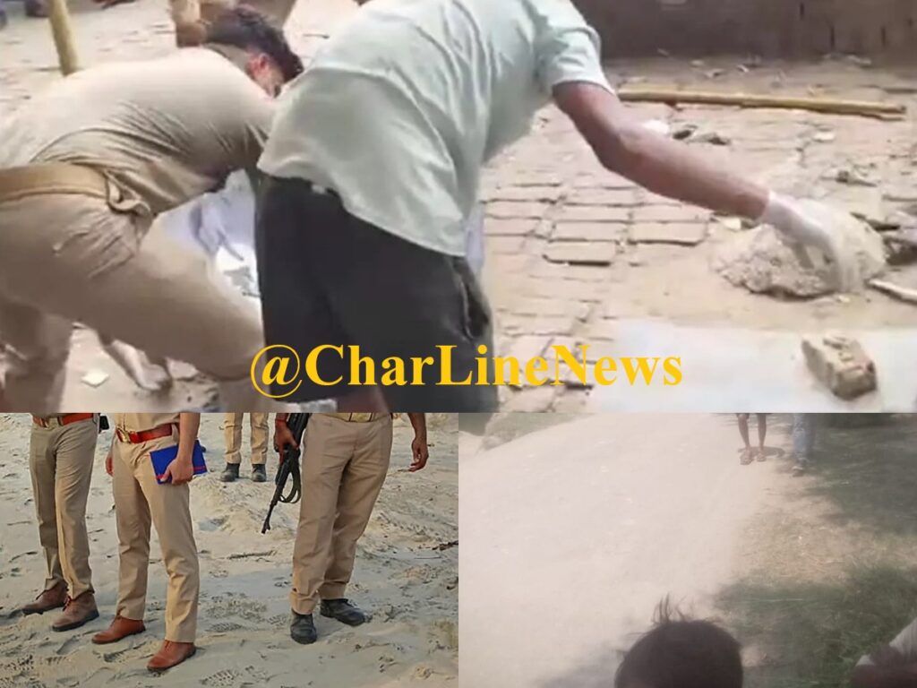 collageपुपपुपुप