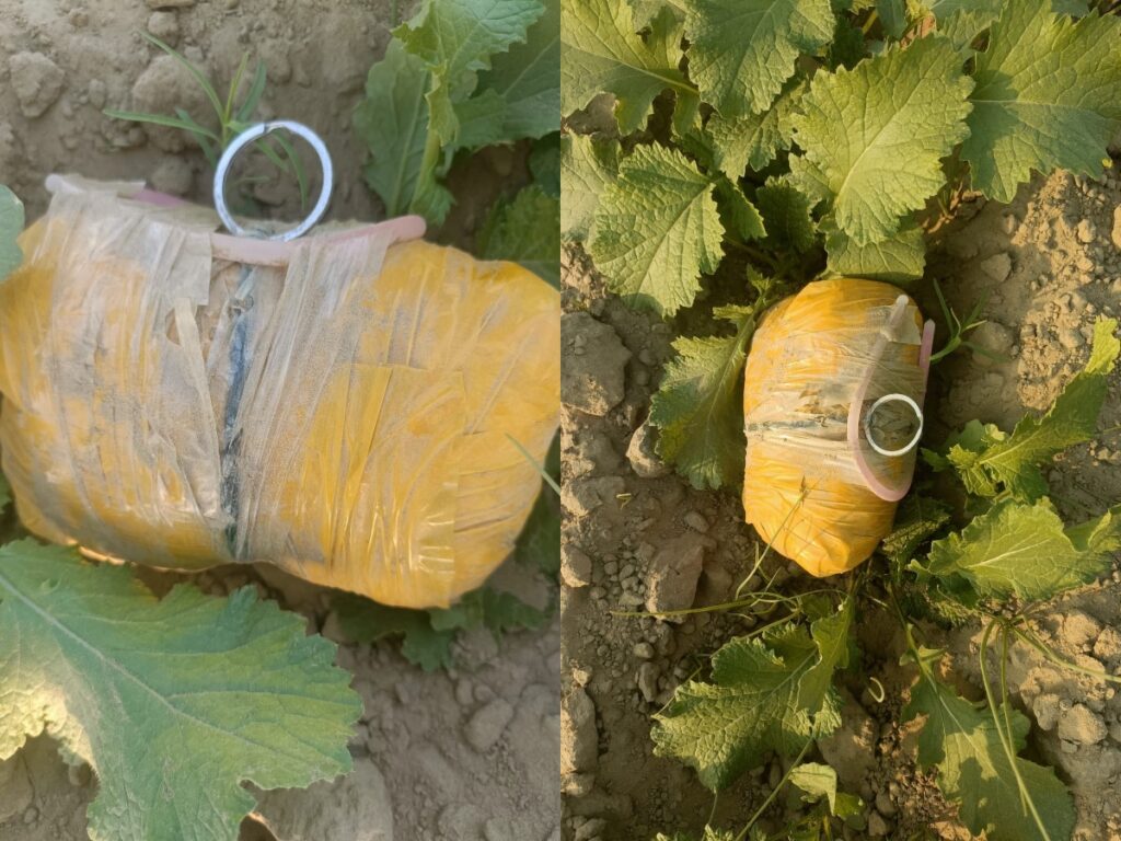 collageरूरूकुकपिप