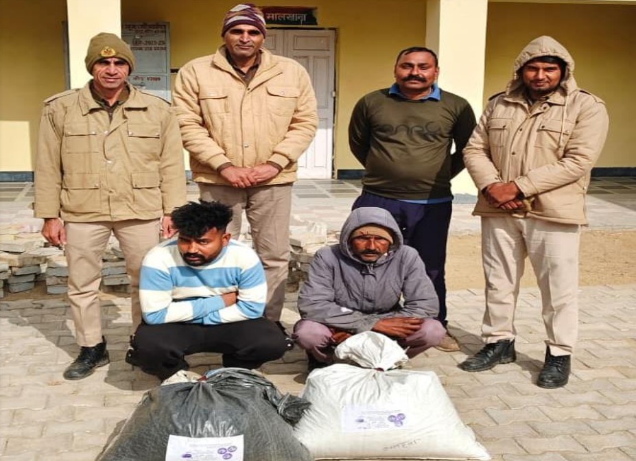 WhatsApp Image 2026-01-09 at 7.25.18 PM