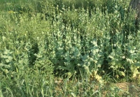 WhatsApp Image 2026-02-26 at 1.18.50 PM