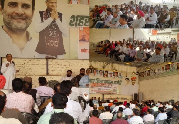 collagefdfुिुeerhghhgh