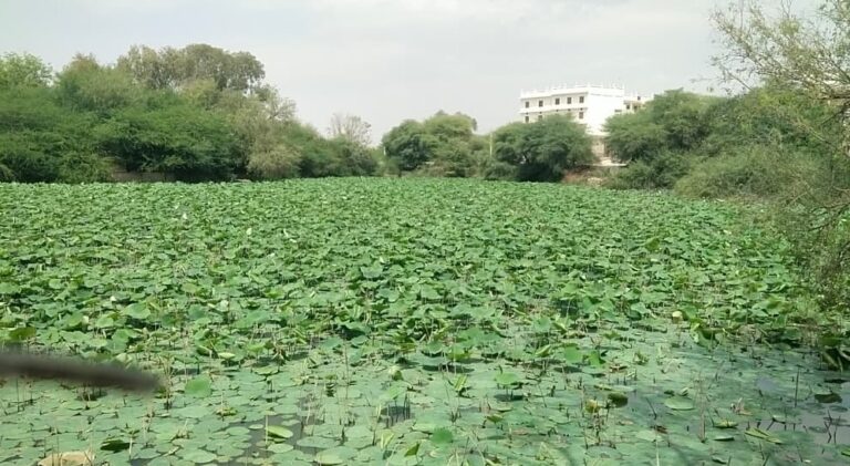 WhatsApp Image 2026-03-22 at 2.13.22 PM