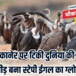 WhatsApp Image 2026-03-23 at 9.36.20 AM