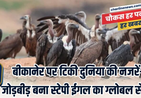 WhatsApp Image 2026-03-23 at 9.36.20 AM