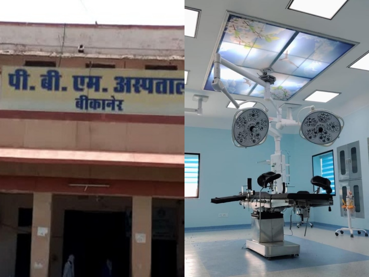 collageिुिुgdgd