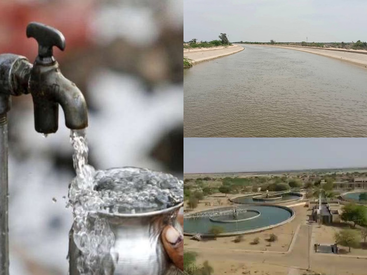 collageूूेुरुपिप