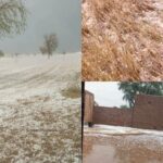 ीूीबीूविवविुिपीपीgfgिपिrtrt