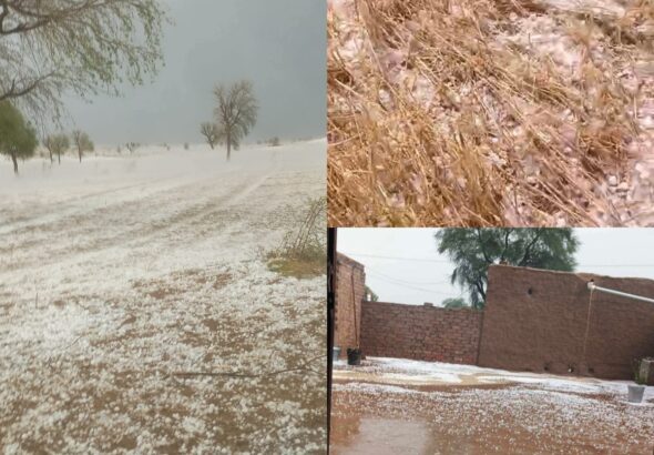 ीूीबीूविवविुिपीपीgfgिपिrtrt