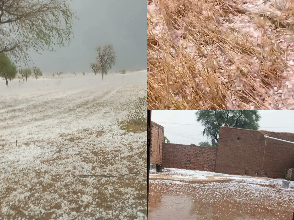 ीूीबीूविवविुिपीपीgfgिपिrtrt