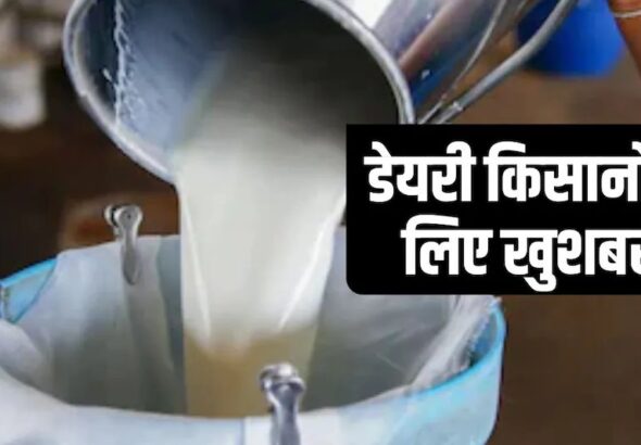 69f45c3b9cbcf-punjab-milk-procurement-rate-hike-031953104-16x9