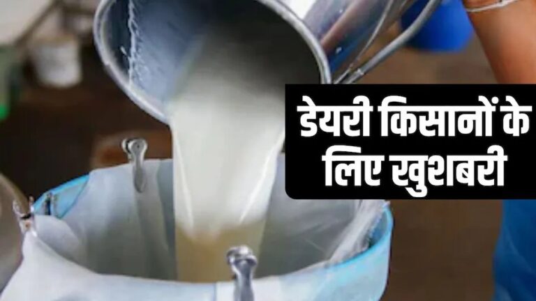 69f45c3b9cbcf-punjab-milk-procurement-rate-hike-031953104-16x9