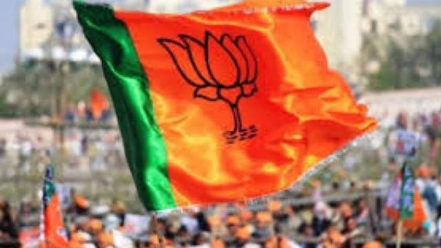 bjp_1558841352