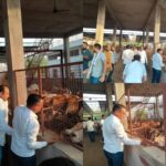 collagergr