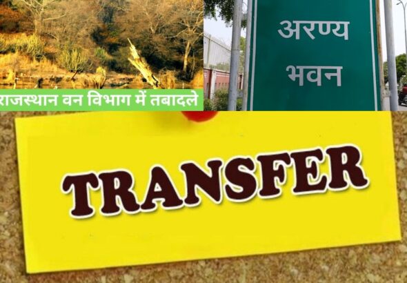 collageुरुर