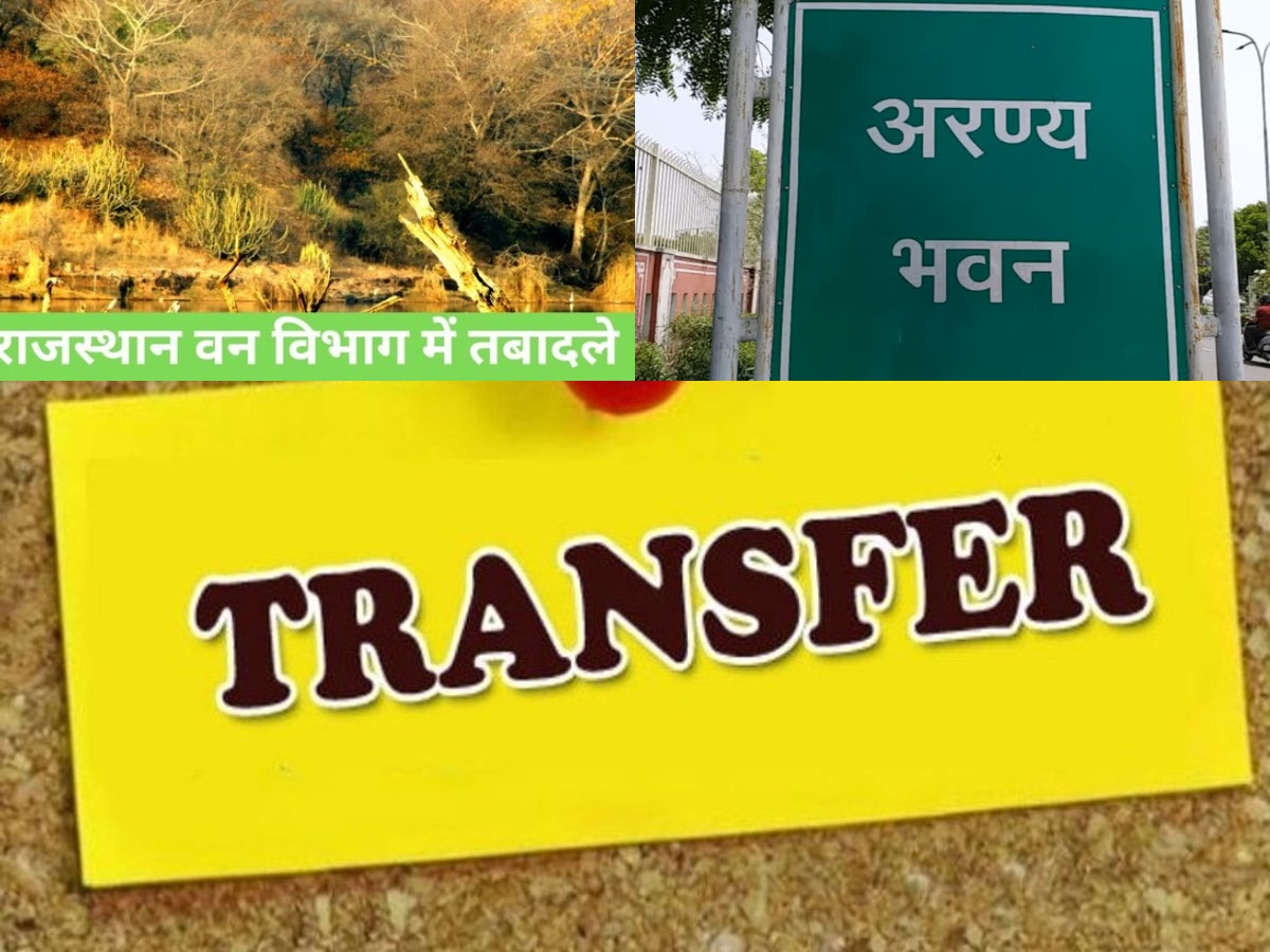 collageुरुर